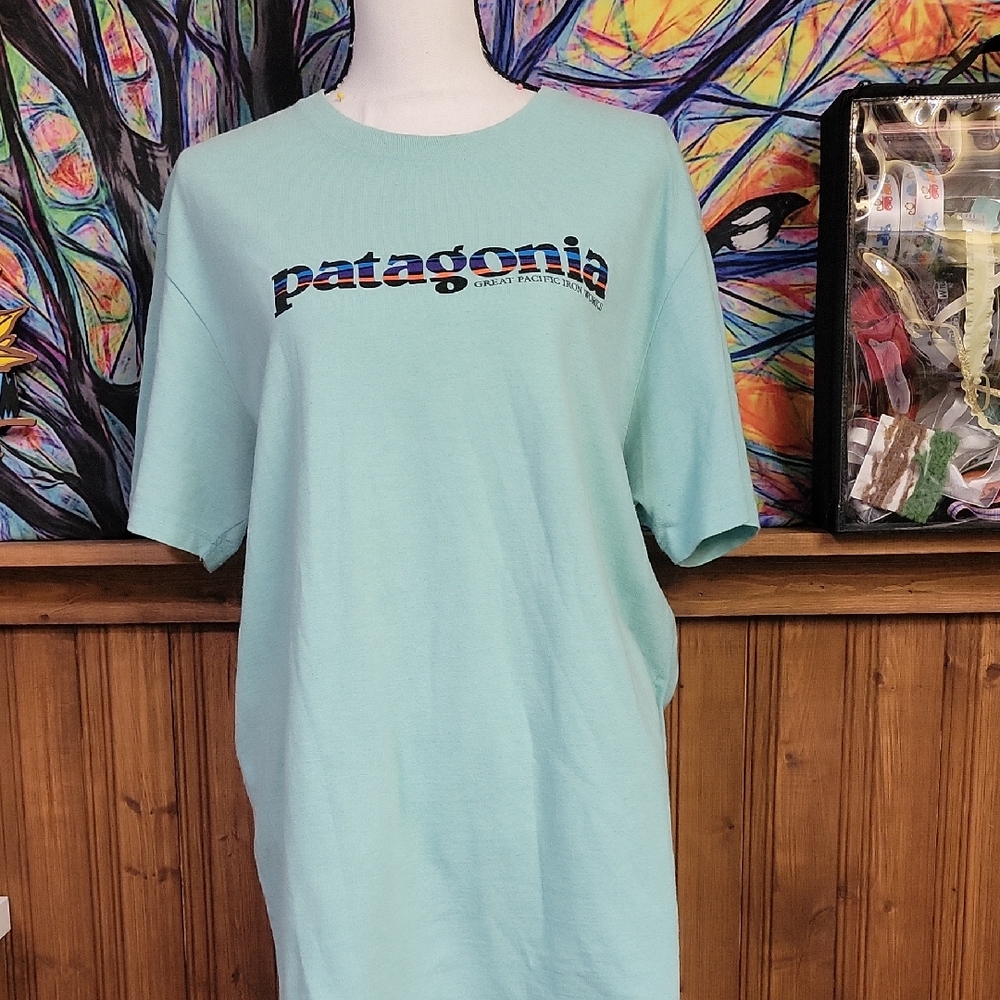 Patagonia Mint Green T-Shirt Xl